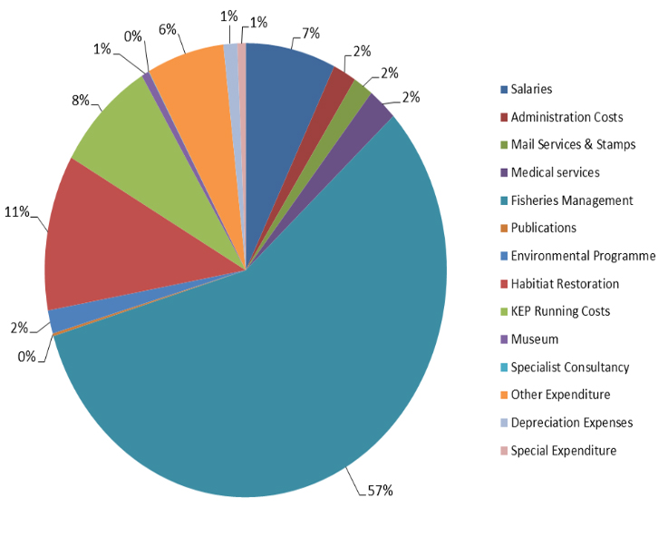 Pie chart showing GSGSSI expenditure in 2013.