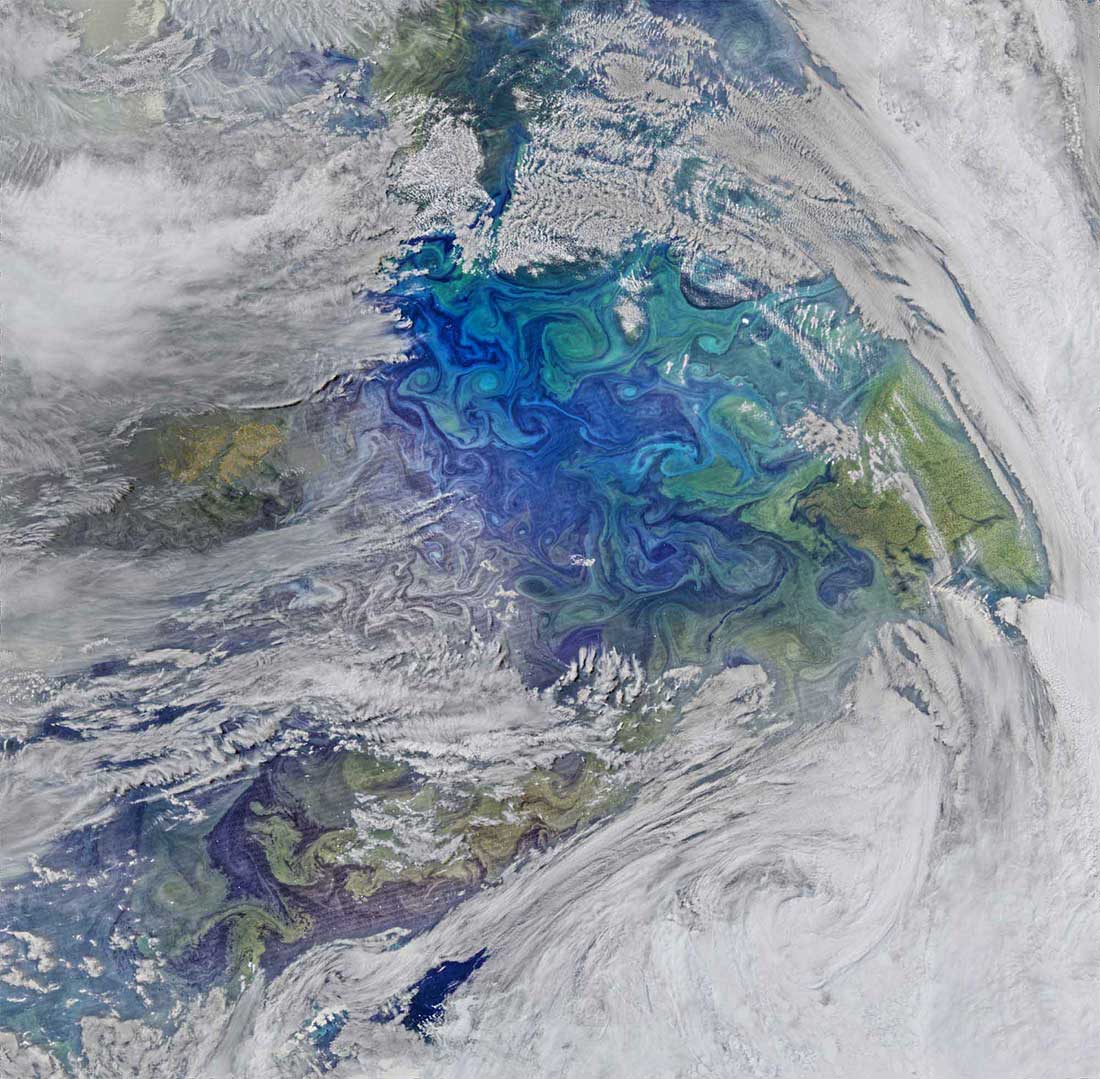 14Swirls of planktonic blooms show in this infrared image taken by NASA of the sea between the Falkland Islands and South Georgia.