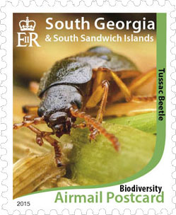 Tussa -Beetle Stamp
