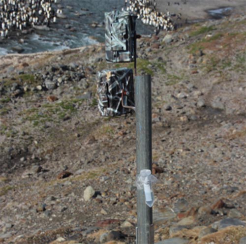 A timelapse camera at St Andrews, showing two pollen rain traps attached to the support pole. These traps consist of a plastic tube half filled with glycerol, covered with a gauze mesh and attached to the pole with wire or jubilee clips.