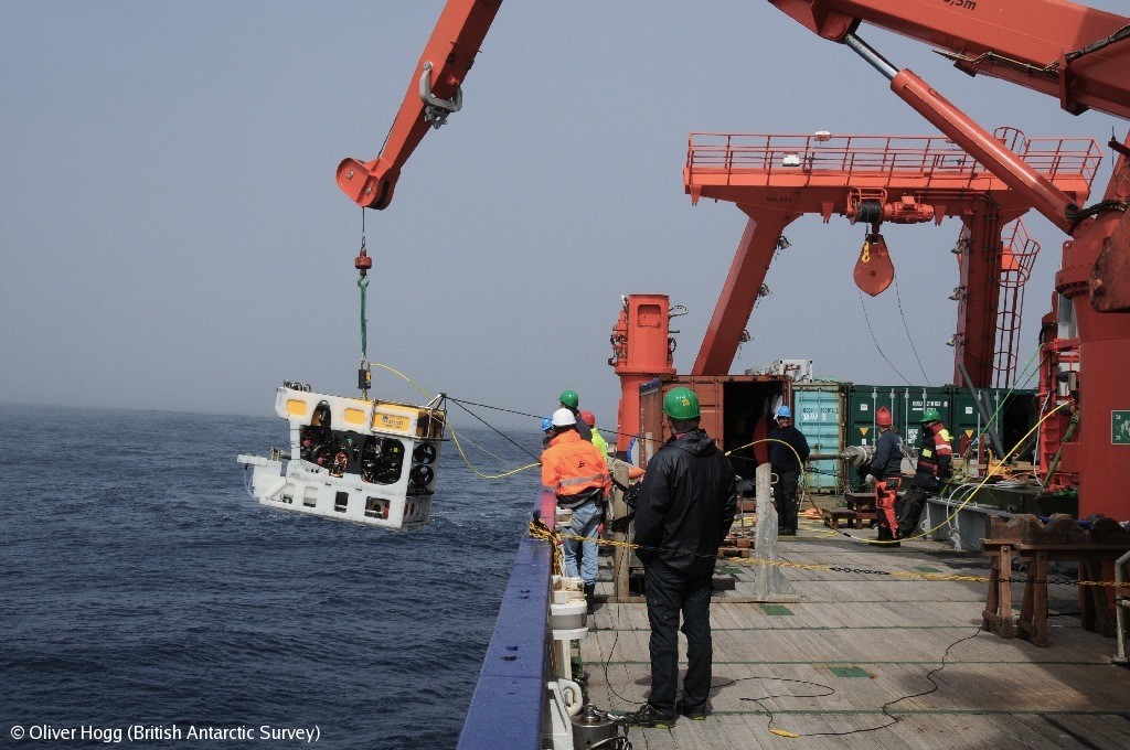 Deploying the ROV (remotely operated vehicle) SQUID from RV Meteor near South Georgia.