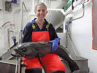 Sue-and-toothfish
